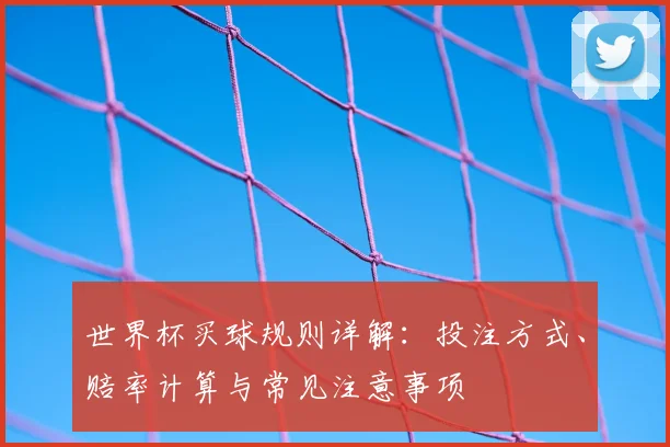 世界杯买球规则详解:投注方式、赔率计算与常见注意事项