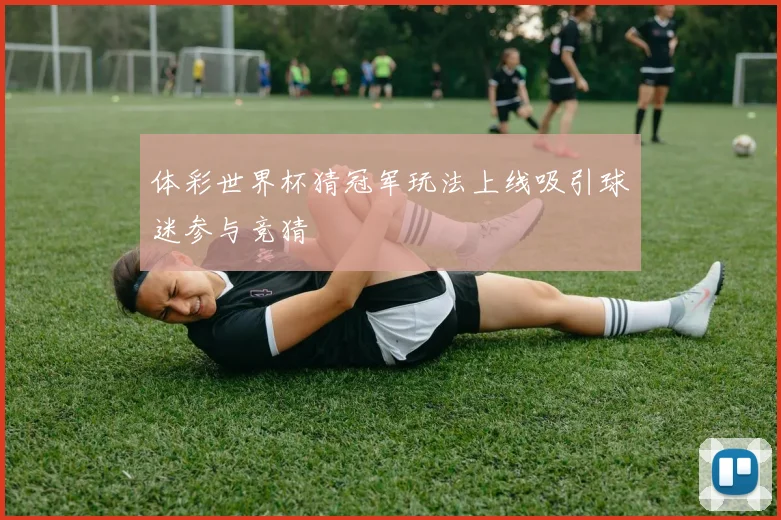 体彩世界杯猜冠军玩法上线吸引球迷参与竞猜
