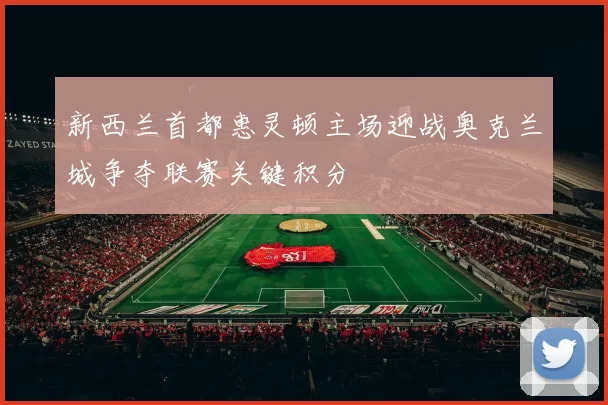 新西兰首都惠灵顿主场迎战奥克兰城争夺联赛关键积分