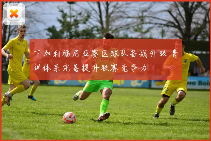 下加利福尼亚赛区球队备战升级 青训体系完善提升联赛竞争力